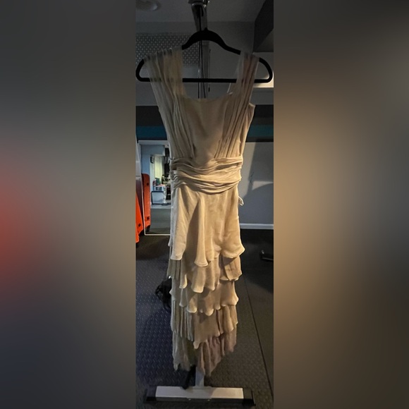 Lucia Rodriguez Champagne Gown Size 2 - Picture 4 of 8